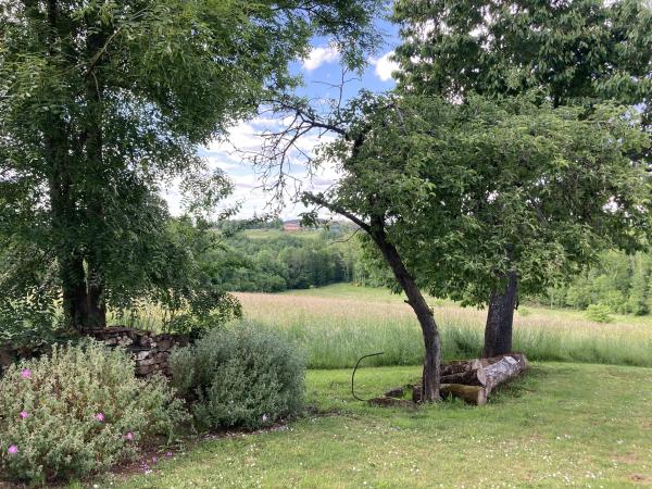 Tuin [zomer]
