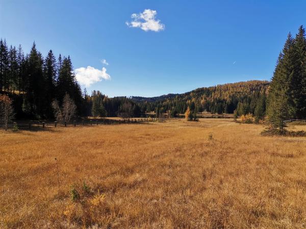 Surroundings [summer] (1-5 km)