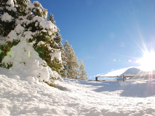 Dans les environs [hiver] (1-5 km)