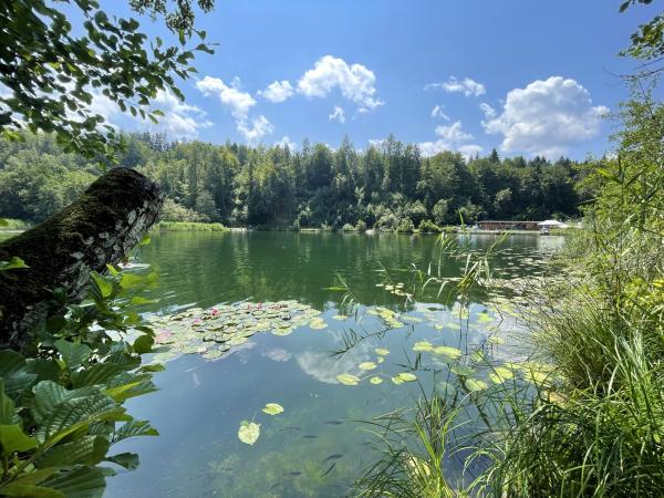 Water view