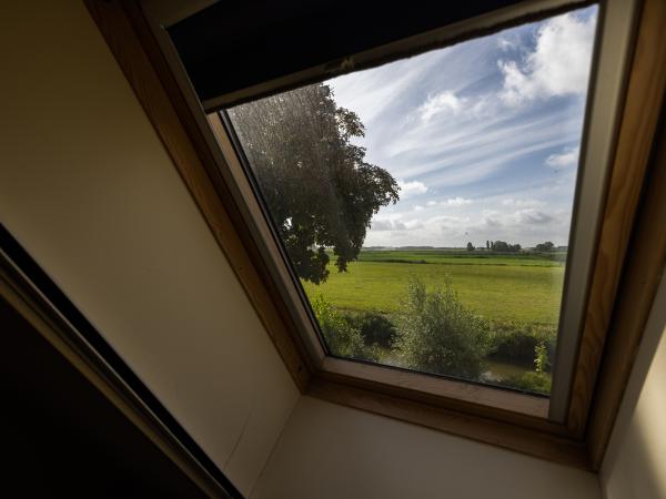 Aussicht vom Ferienhaus [Sommer]
