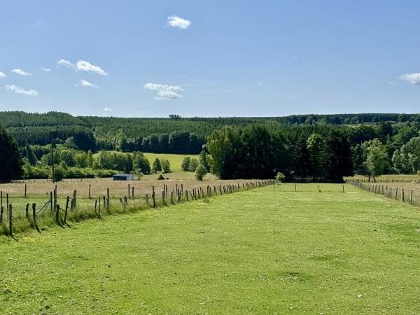 Immediate Surroundings [summer] (<1 km)