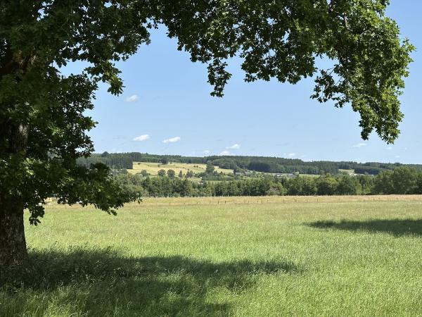 Surroundings [summer] (1-5 km)
