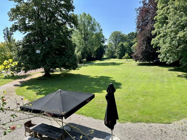Tuin [zomer]