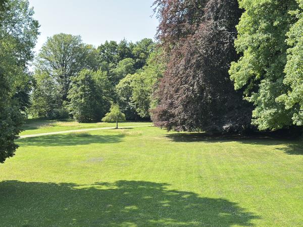 Tuin [zomer]