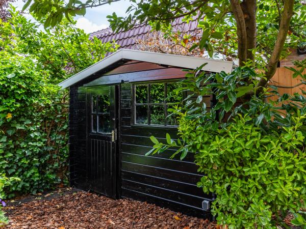 Tuin [zomer]