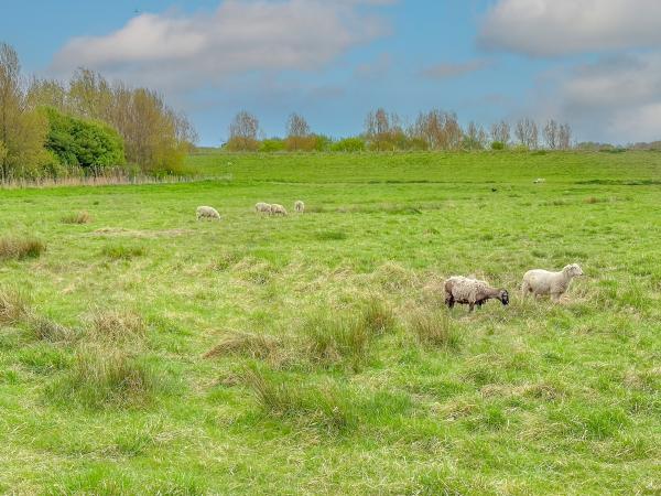Direkte Umgebung [Sommer] (<1 km)