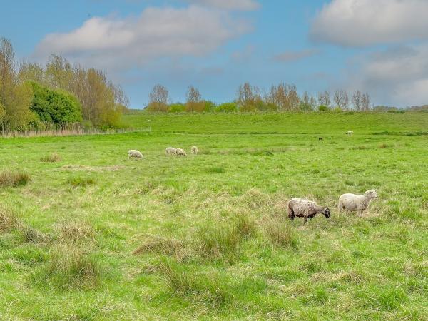 Direkte Umgebung [Sommer] (<1 km)