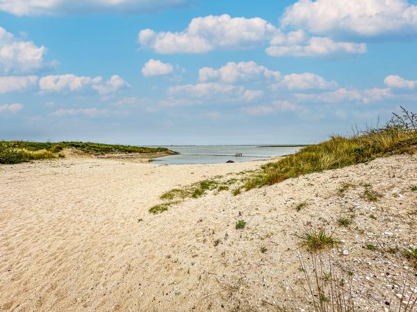 Directe omgeving [zomer] (<1 km)