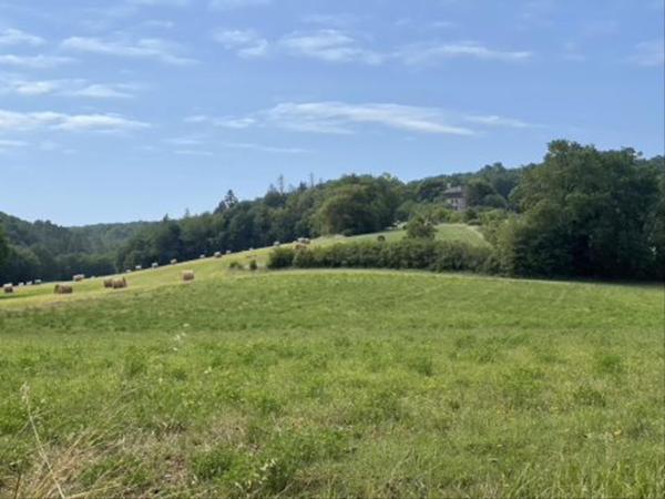 A proximité directe [été] (<1 km)