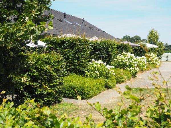 Jardin [été]