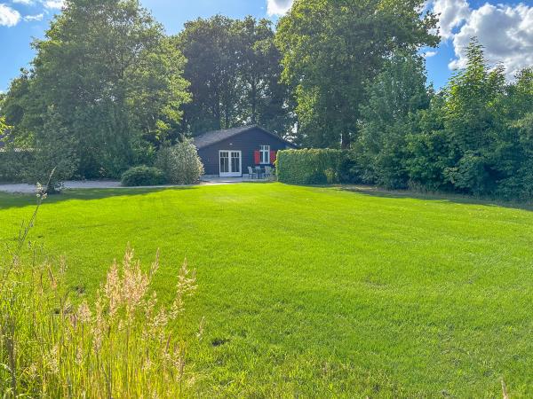 Tuin [zomer]