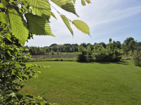 Tuin [zomer]