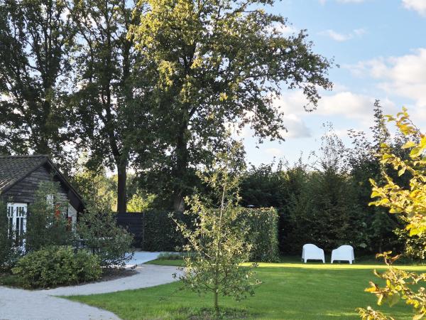 Tuin [zomer]
