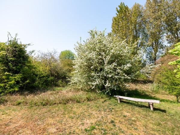 Garten [Sommer]