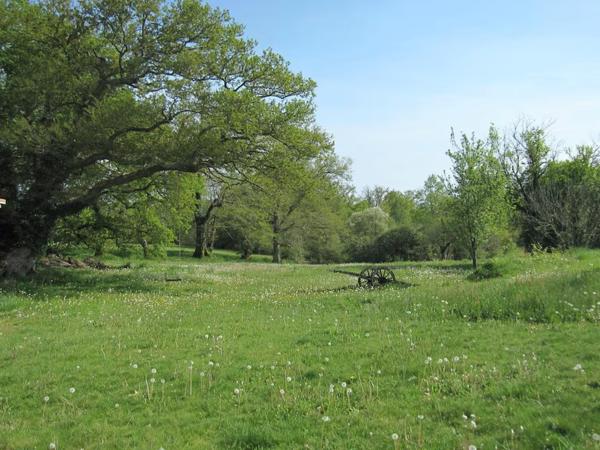 Immediate Surroundings [summer] (<1 km)