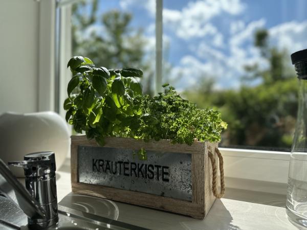Ambiance / Close-up