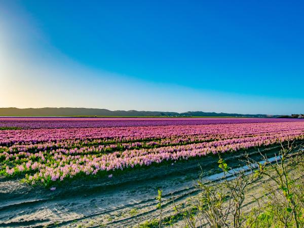 Surroundings [summer] (1-5 km)