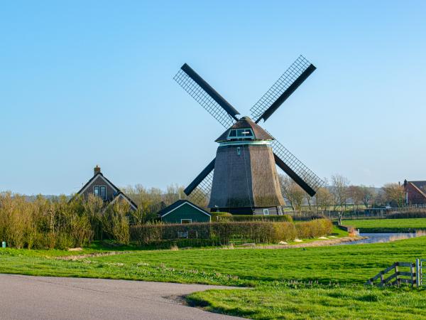 Region [summer] (>5 km)