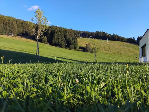 Immediate Surroundings [summer] (<1 km)