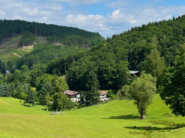 Außenseite Ferienhaus [Sommer]