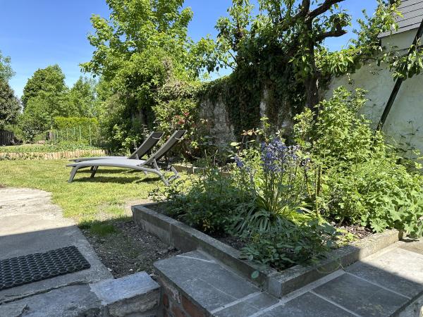 Garten [Sommer]
