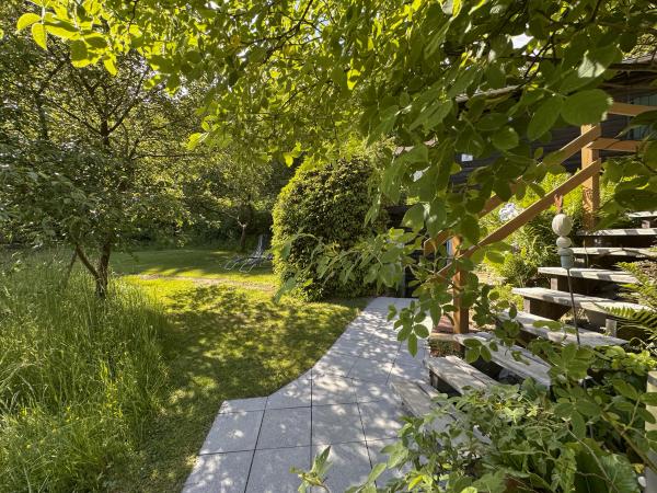 Tuin [zomer]