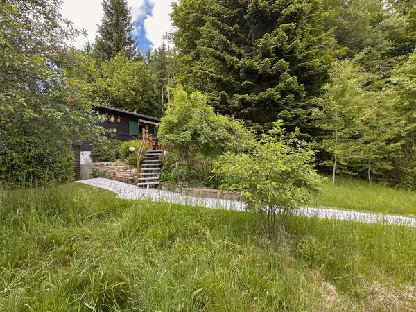 Tuin [zomer]