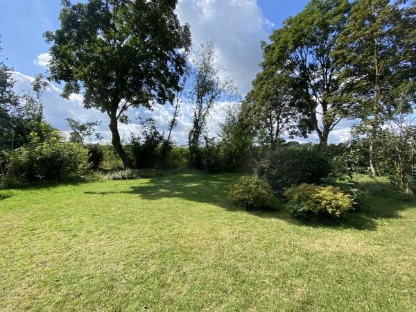 Garden [summer]