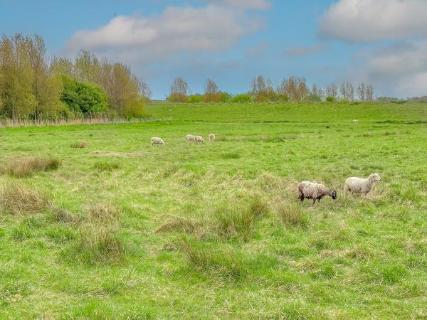 Direkte Umgebung [Sommer] (<1 km)