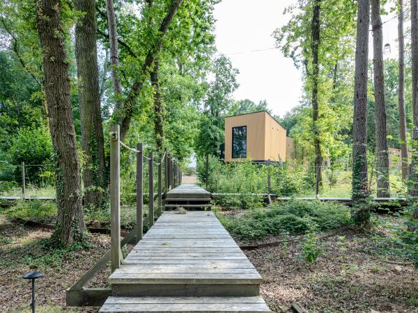 Jardin [été]