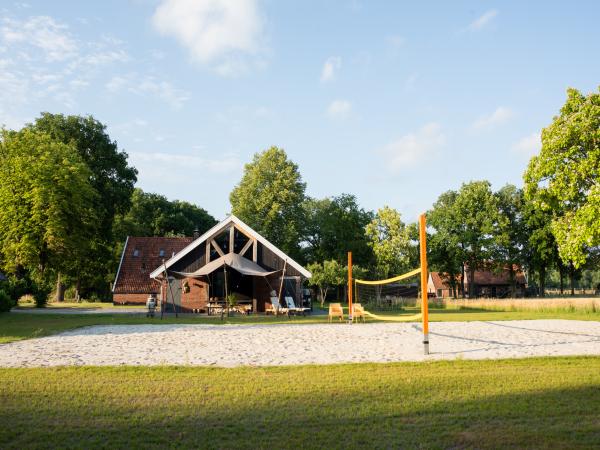 Extérieur maison de vacances [été]