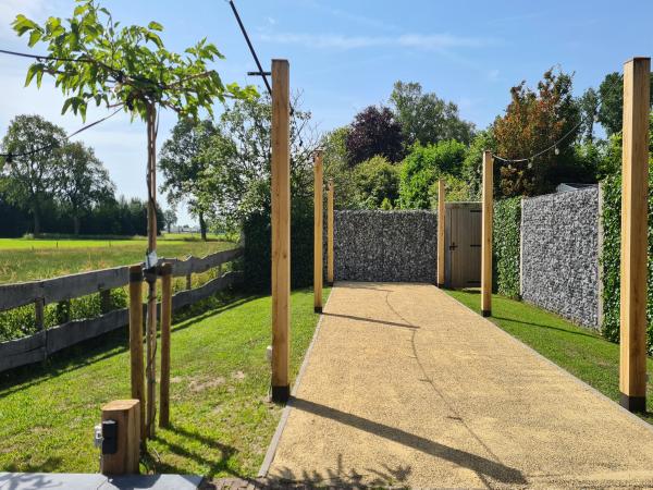 Tuin [zomer]