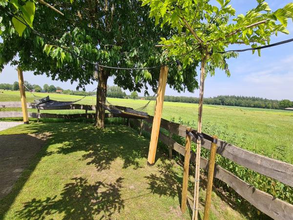 Tuin [zomer]