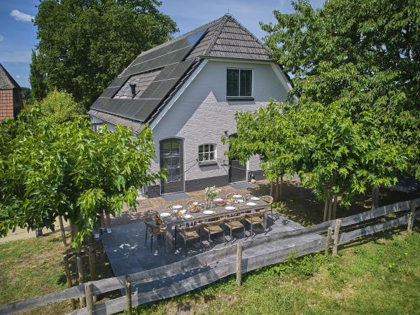 Garten [Sommer]