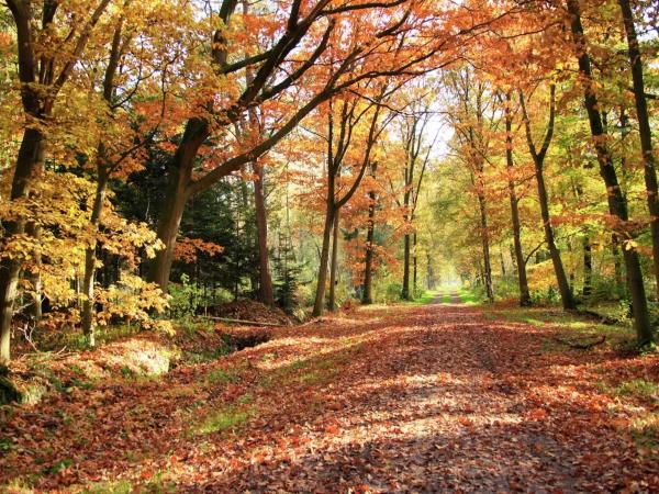 Omgeving [zomer] (1-5 km)