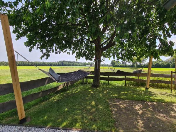 Tuin [zomer]