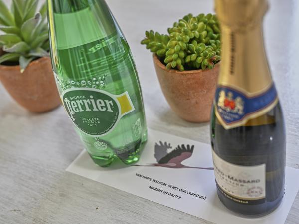 Ambiance / plan rapproché