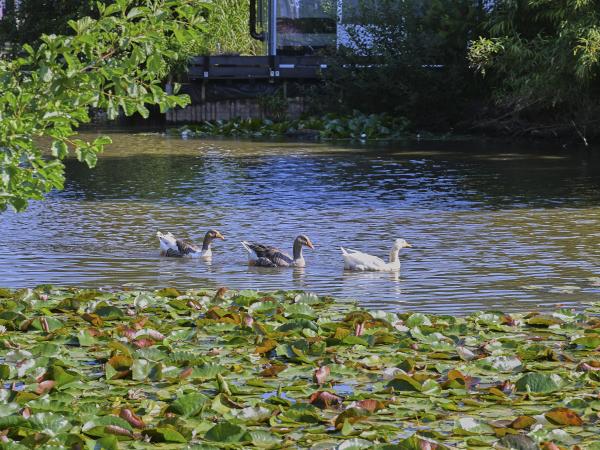 A proximité directe [été] (<1 km)