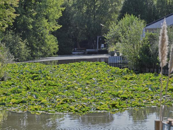 A proximité directe [été] (<1 km)
