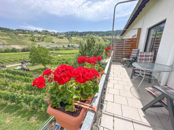 Terrasse / Balkon