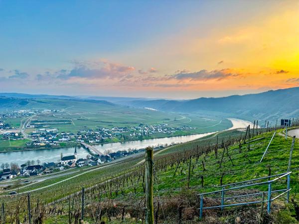 Direkte Umgebung [Sommer] (<1 km)