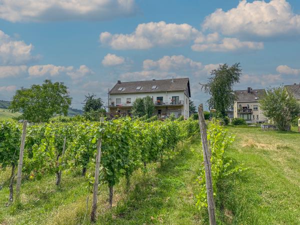 Außenseite Ferienhaus [Sommer]
