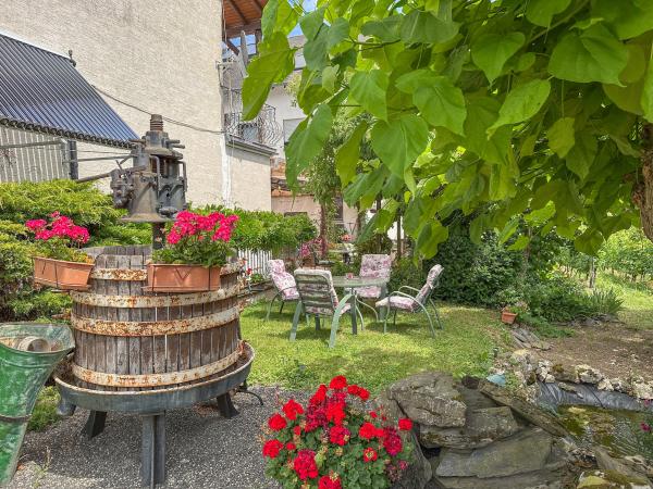 Jardin [été]