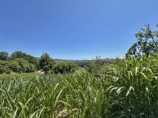 Aussicht vom Ferienhaus [Sommer]