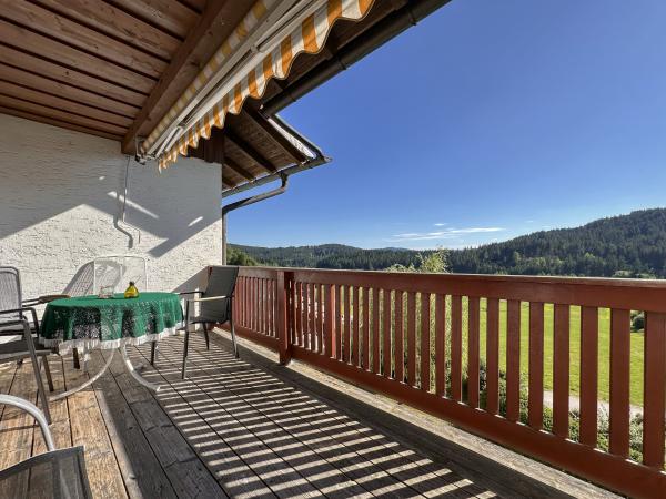 Patio / Balcony