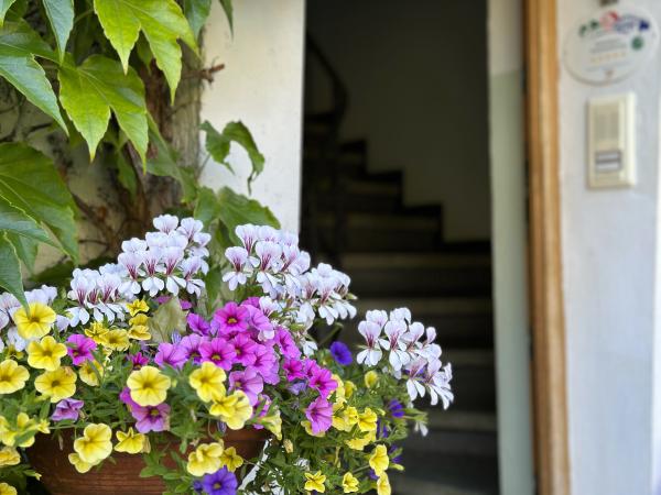 Entrance / Reception