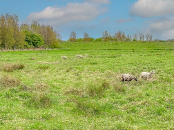 Direkte Umgebung [Sommer] (<1 km)