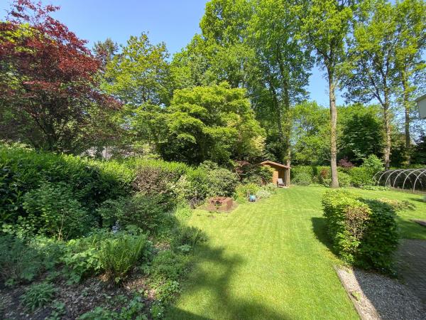 Tuin [zomer]