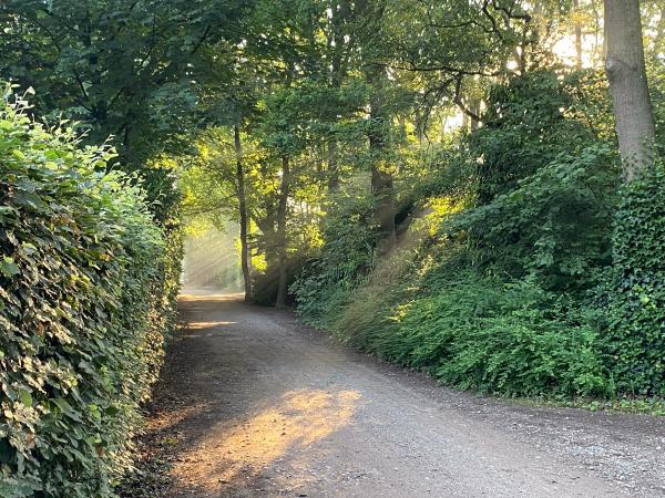 Directe omgeving [zomer] (<1 km)